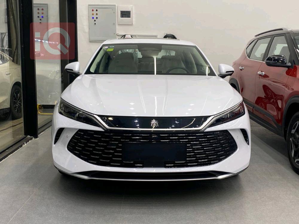 بي واي دي كوين L DM-i